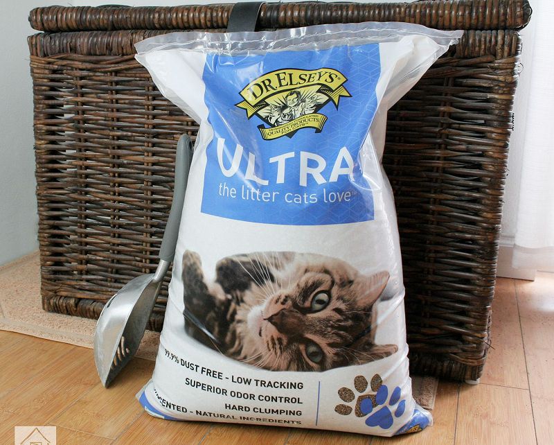 What Is the Difference Between Clumping and Non-Clumping Cat Litter?