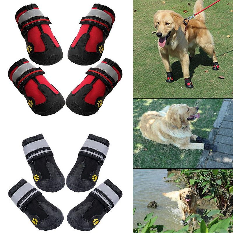 Best Waterproof Dog Boots that Actually Stay On Reviews