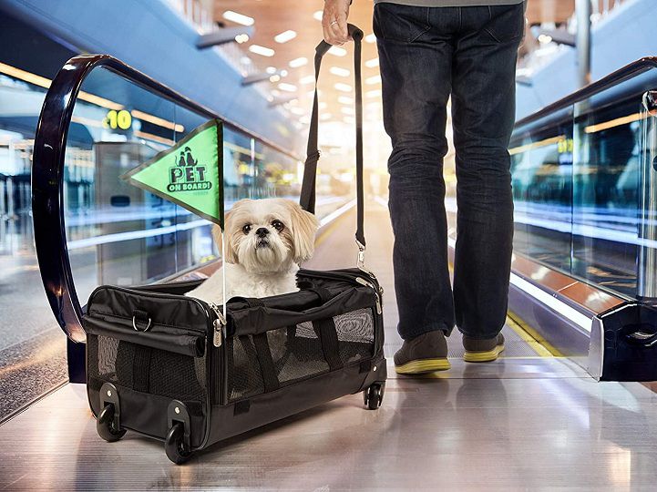 Best Airline Approved Pet (Dog and Cat) Carrier with Wheels reviews