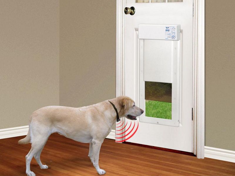 The Best Dog Door that Only Opens With Collar Reviews