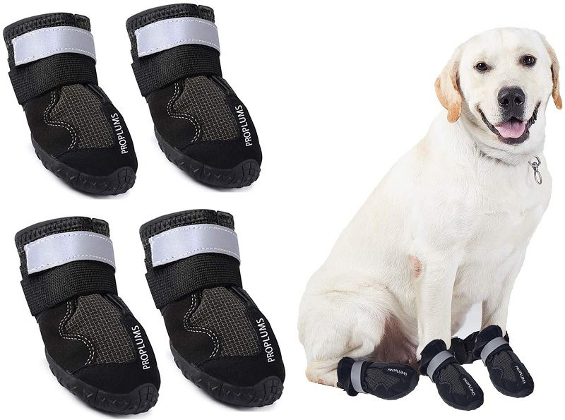 Best Waterproof Dog Boots that Actually Stay On Reviews