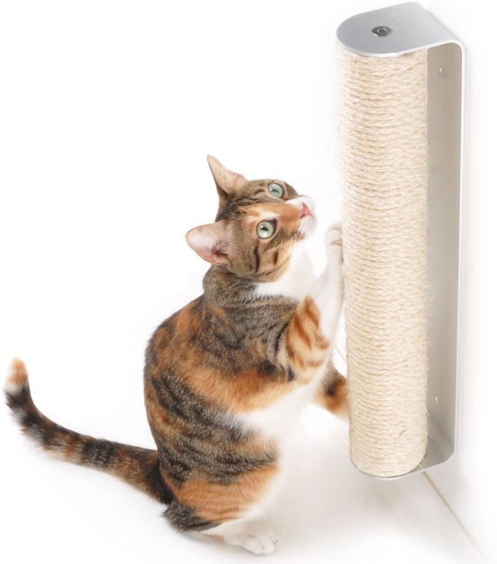 Best Cat Scratching Post to File Nails 2020 Reviews