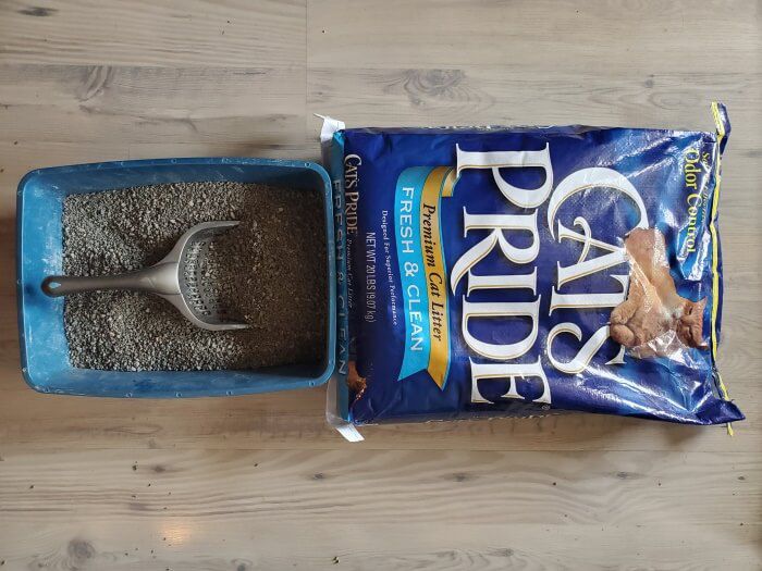 What Is the Difference Between Clumping and Non-Clumping Cat Litter?