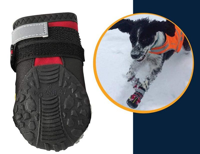 Best Waterproof Dog Boots that Actually Stay On Reviews