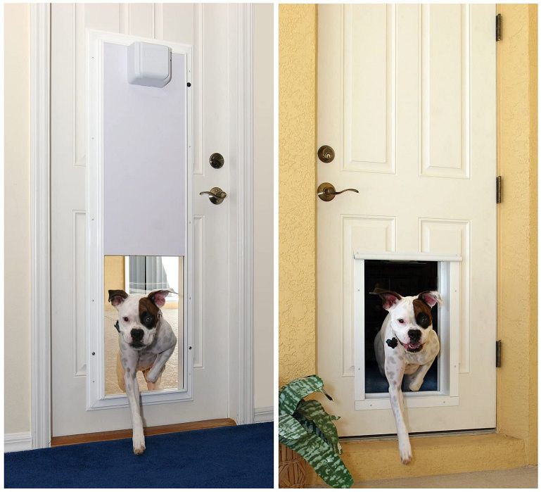 The Best Dog Door that Only Opens With Collar Reviews