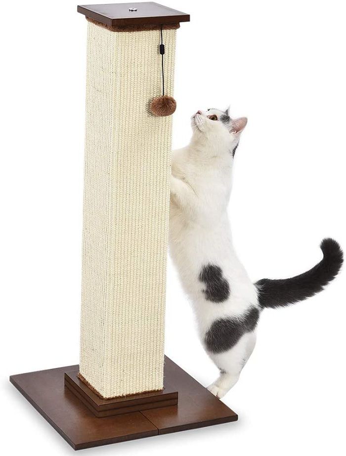 Best Cat Scratching Post to File Nails 2020 Reviews