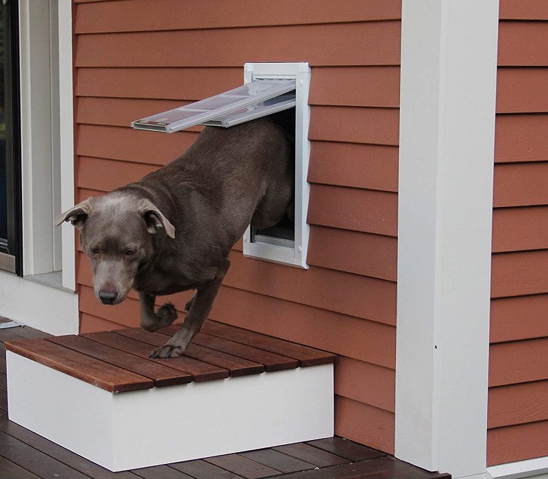 The Best Dog Door that Only Opens With Collar Reviews