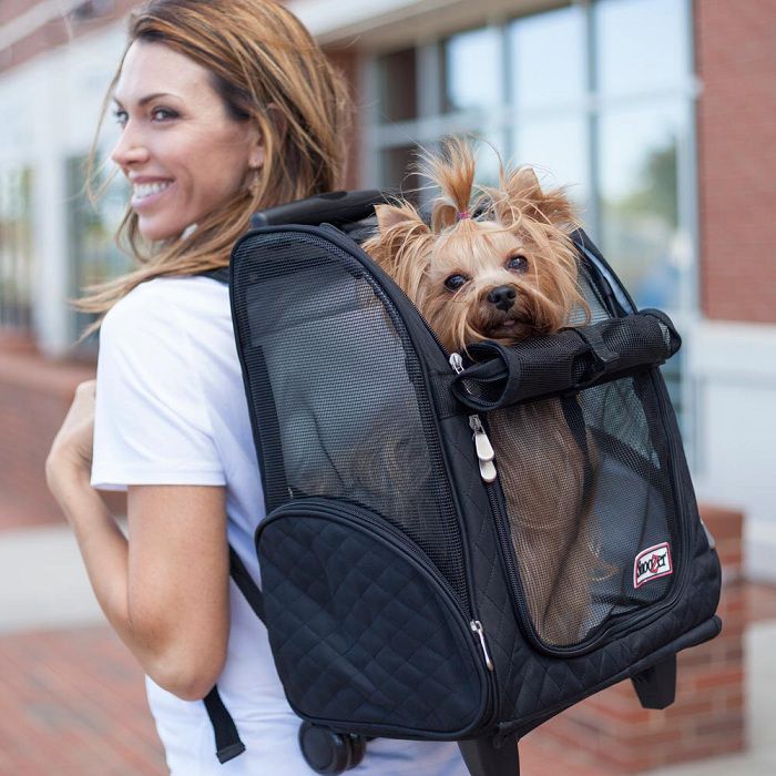 Best Dog Backpack Carrier for Large Dogs Reviews