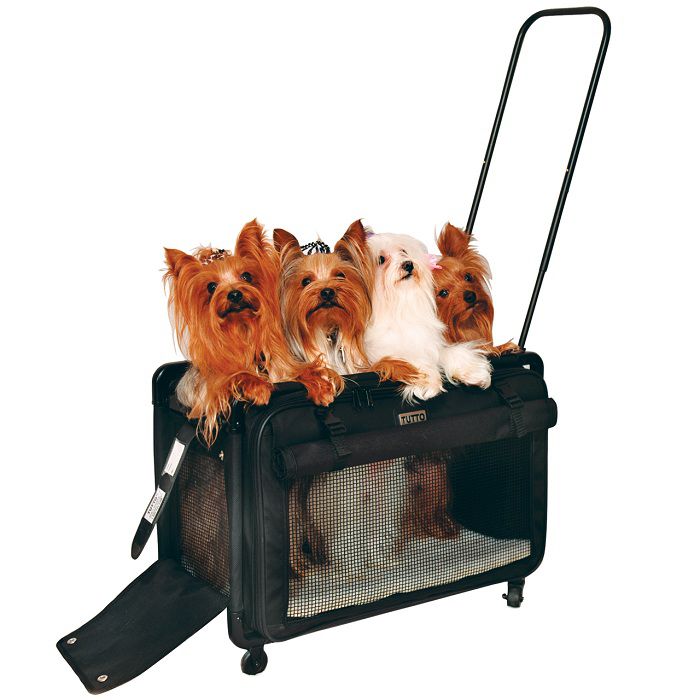 Best Airline Approved Pet (Dog and Cat) Carrier with Wheels reviews