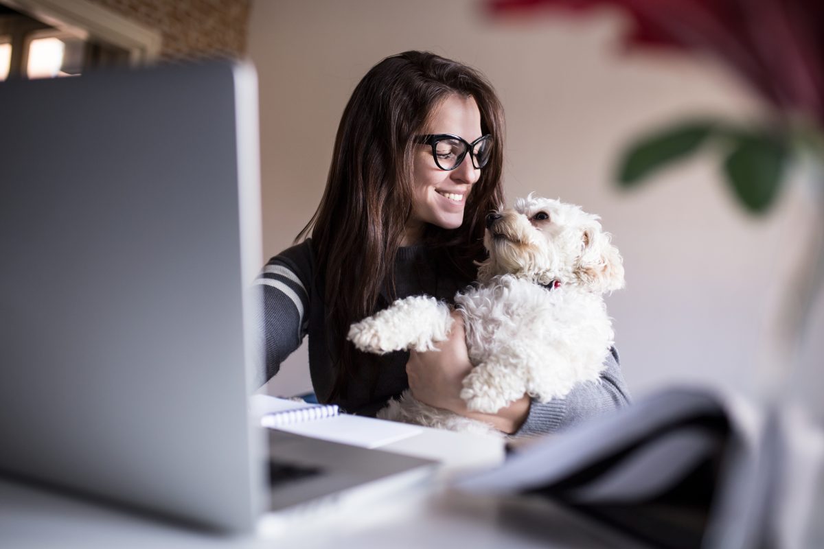 Benefits of Having Pets at Work