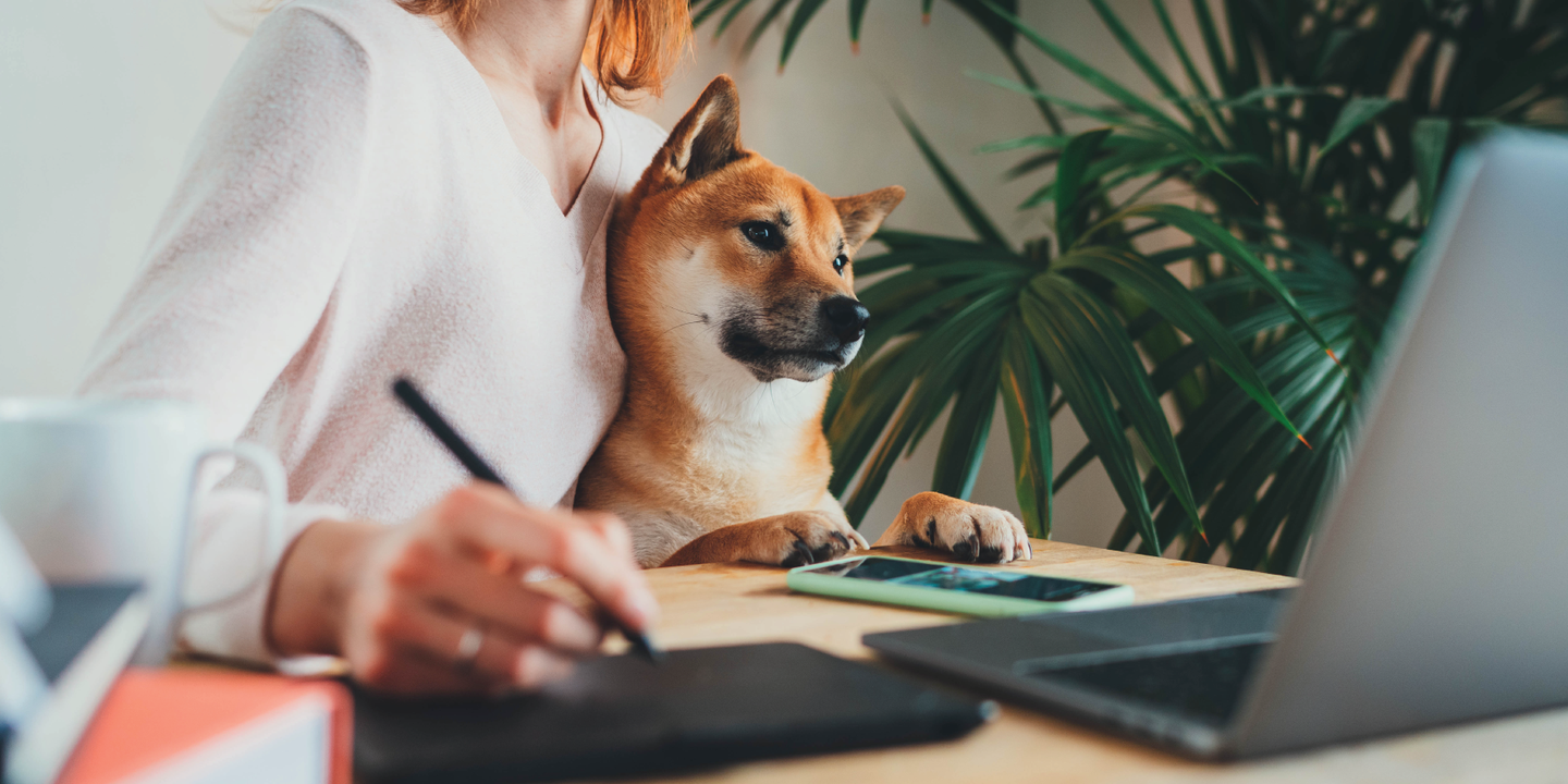 benefits-of-having-pets-at-work-2024