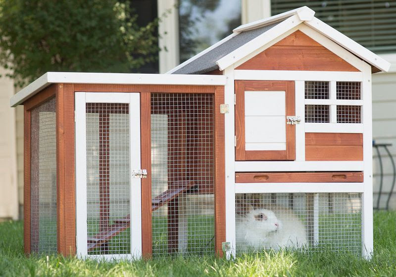 Best Indoor Rabbit Hutch | Cheap Outdoor Rabbit Hutch & Cage Reviews