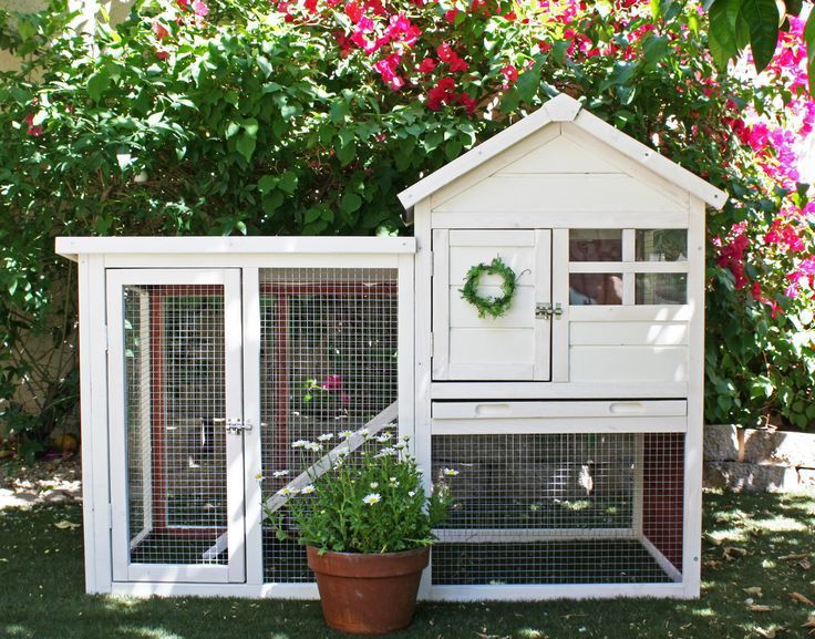 Best Indoor Rabbit Hutch | Cheap Outdoor Rabbit Hutch & Cage Reviews