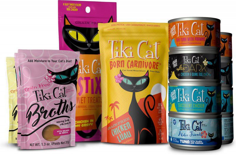 Picky cat needs to gain weight. Best cat food to gain weight for picky cat
