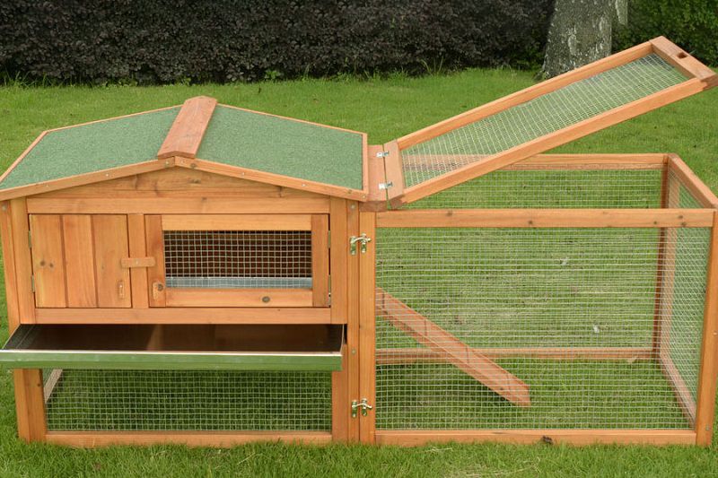 Best Indoor Rabbit Hutch | Cheap Outdoor Rabbit Hutch & Cage Reviews