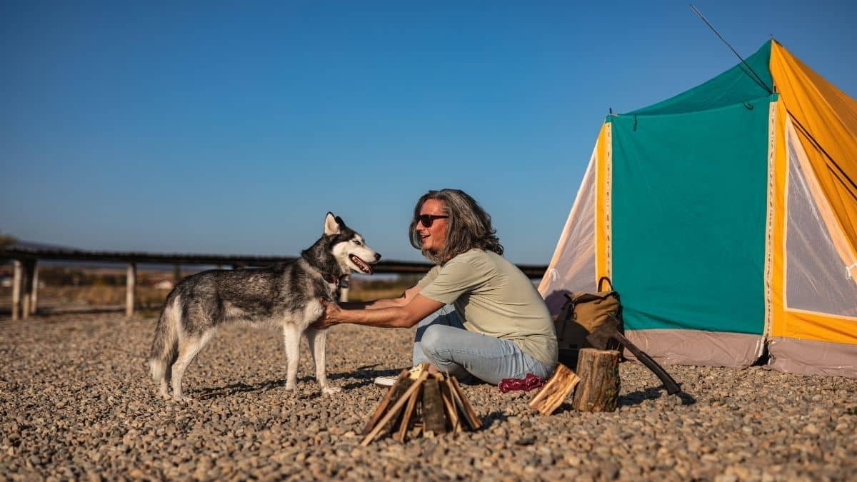 Essential Tips For Outdoor Camping With Your Husky