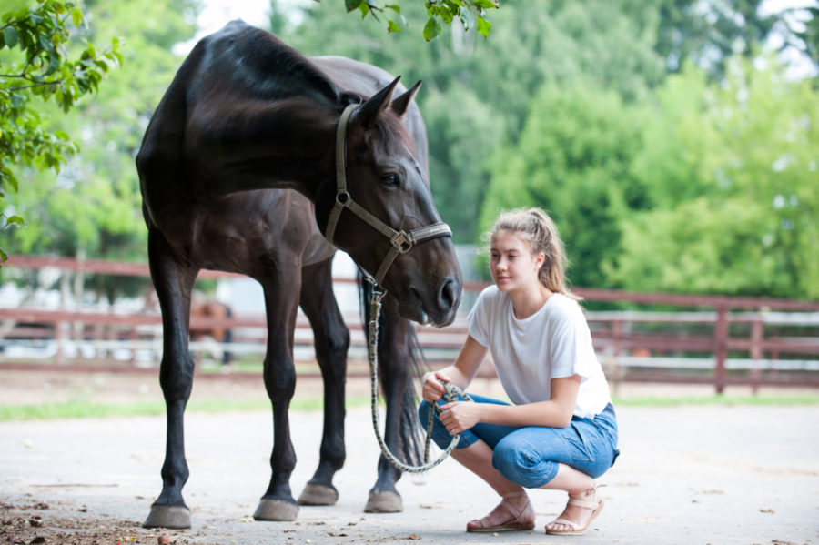 Expert Tips To Strengthen Your Relationship With Your New Horse