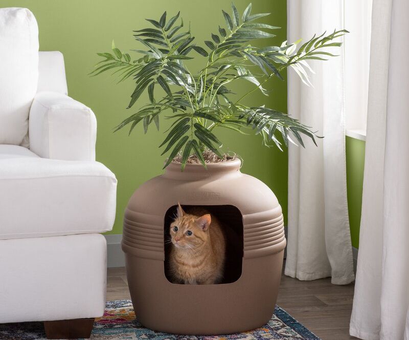 Best Automatic Self-Cleaning Litter Box for Multiple Cats Reviews