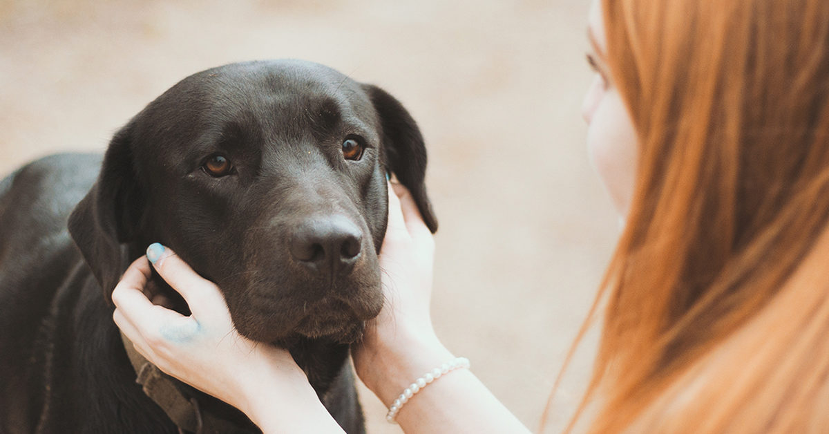 How Pets Can Help With the Loss of a Loved One