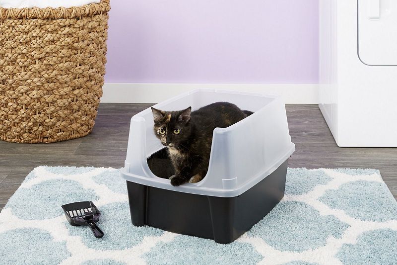 Best Automatic Self-Cleaning Litter Box for Multiple Cats Reviews