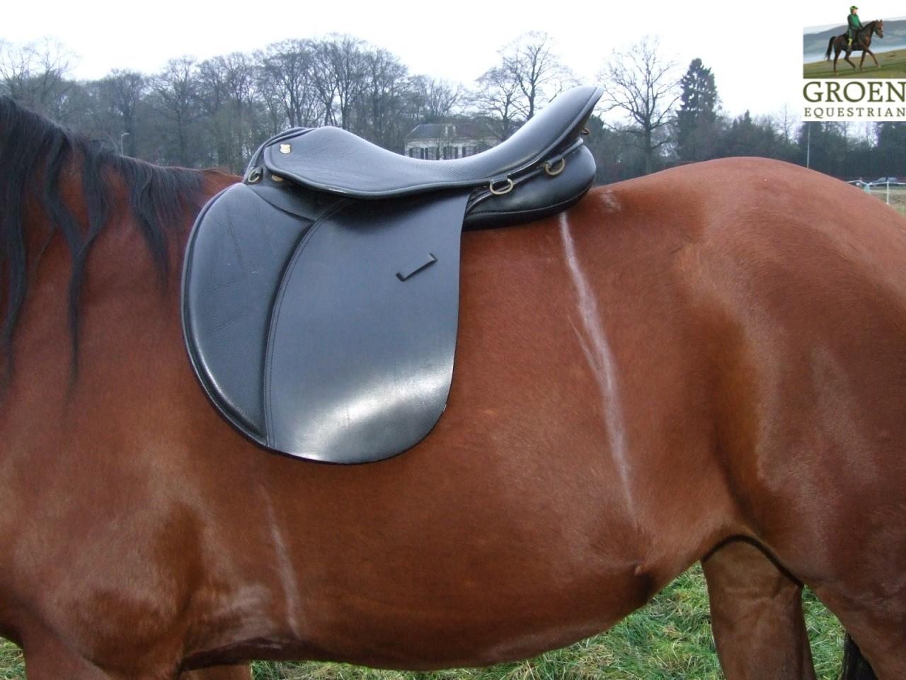 Saddle Fit  - An Overview