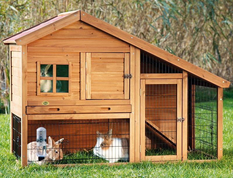 Best Indoor Rabbit Hutch | Cheap Outdoor Rabbit Hutch & Cage Reviews