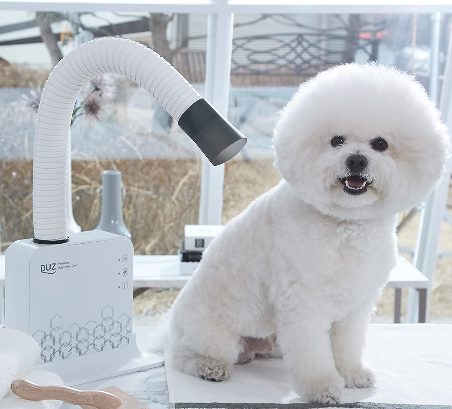 What to Look For When Buying a Dog Dryer