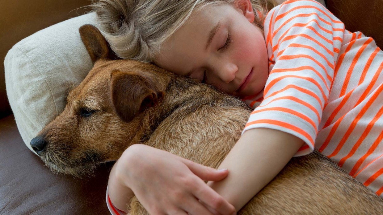 Why adopting a rescue dog helps save lives