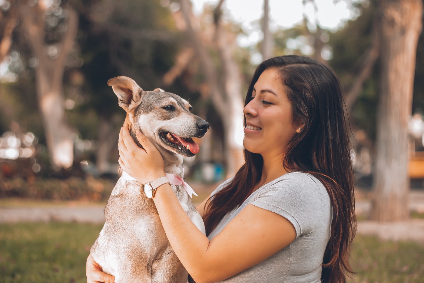 Why getting a dog will change your life