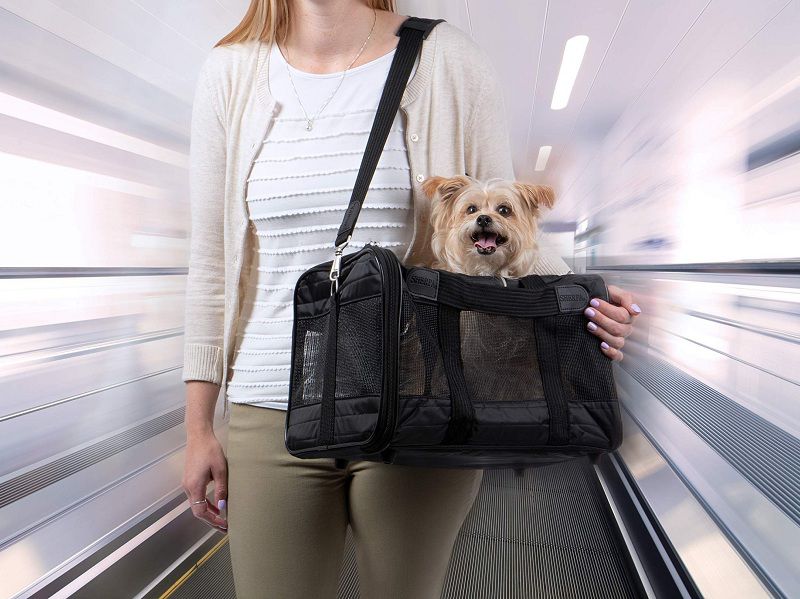 Best Airline Approved Pet Carriers in Cabin for Dog and Cat Reviews