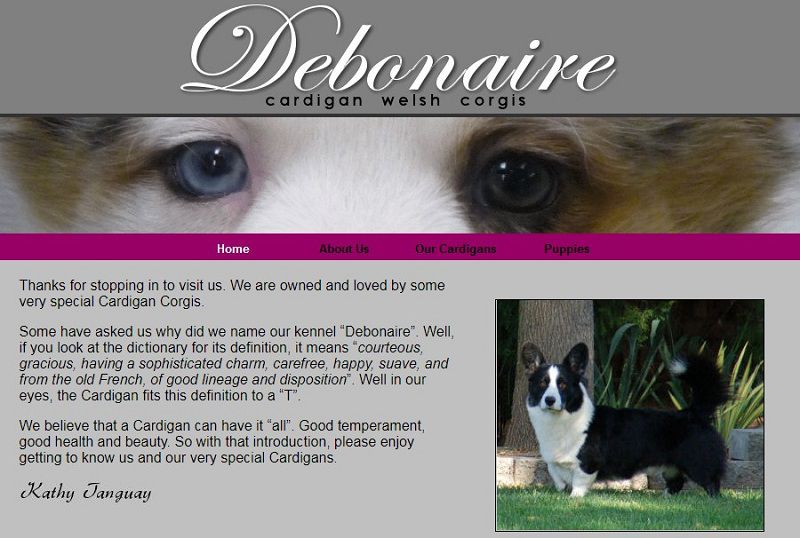 Debonaire Corgis - Breeder in New Jersey. Corgi puppies for sale in Debonaire kennel
