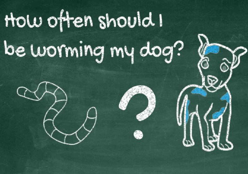 How often should I deworm my dog?