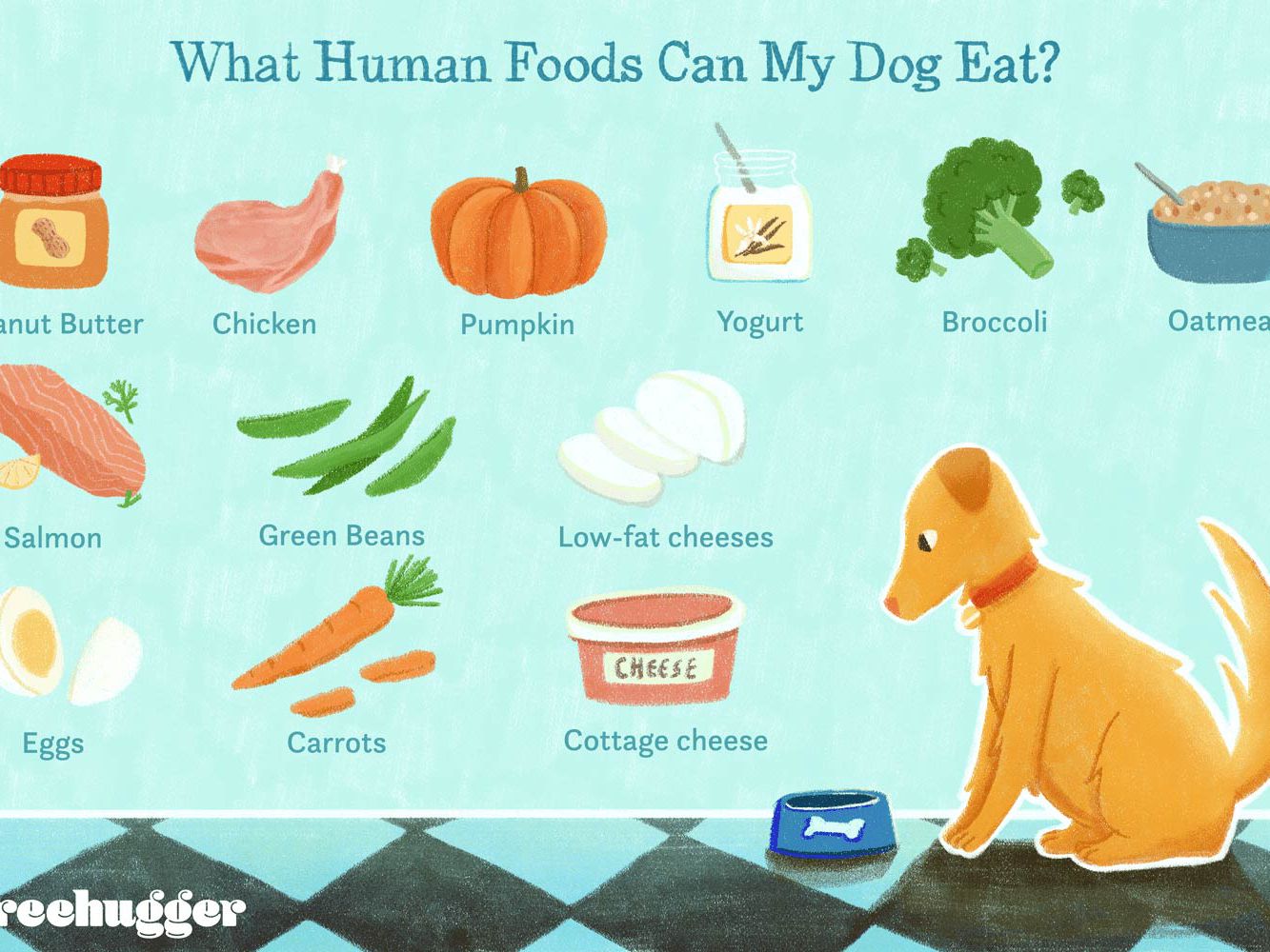 Human Foods Dogs Can Or Can't Eat