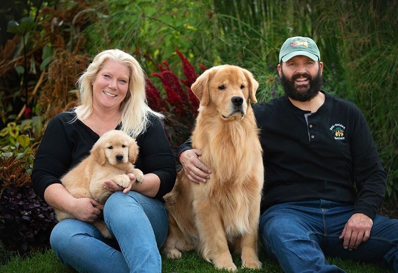 Sun-Golden Kennel - Golden Retriever Breeder in Edgerton, Wisconsin