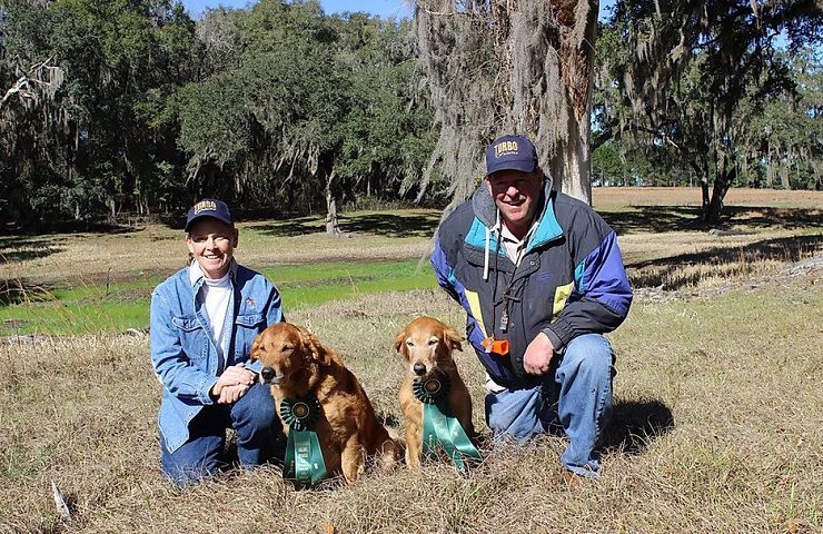 Turbo Retrievers Kennel - Golden Retriever Breeder in Florida