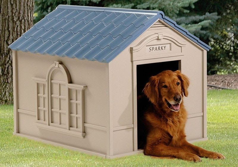 Best insulated dog house for Winter. Insulated heated dog house reviews
