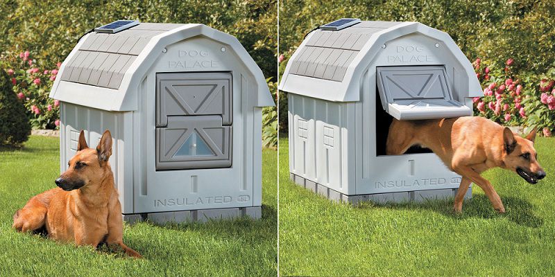 Best insulated dog house for Winter. Insulated heated dog house reviews