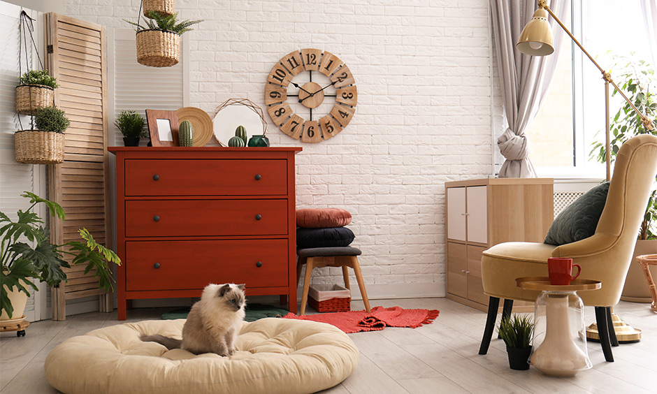 Pet-Friendly Home Design: Creating a Safe and Happy Environment for Your Beloved Companion